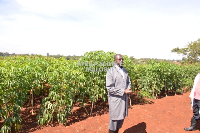 Prof. Douglas Miano, Kenya's lead researcher for the Virus Resistant Cassava Plus (VIRCA Plus) project. Under VIRCA Plus, scientists are developing a disease-resistant GMO cassava.
