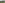 Blurry Giraffes at ILRI's Kapiti Research Station and Wildlife Conservancy